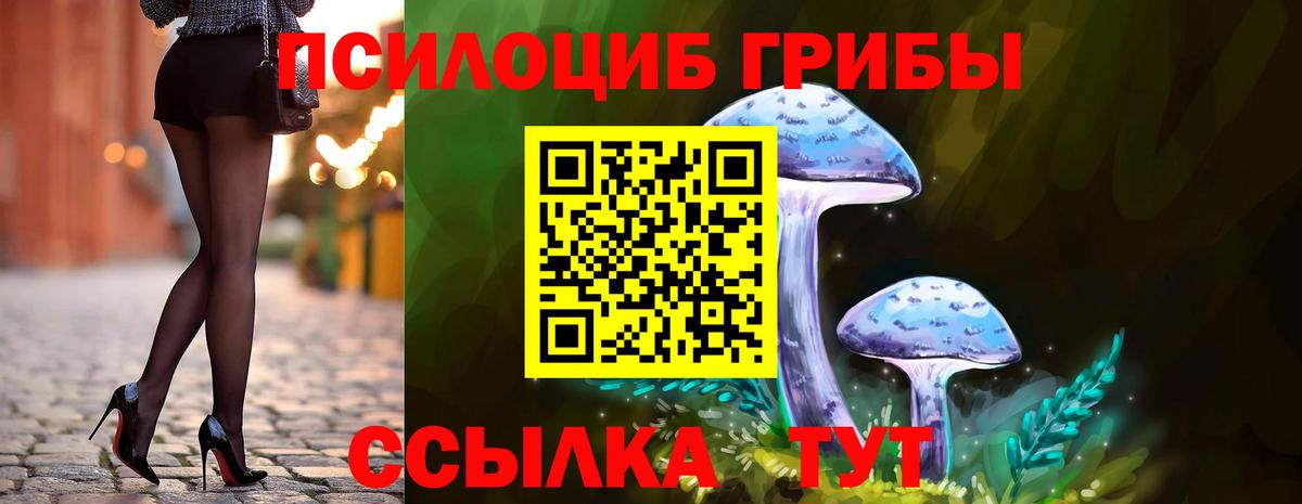 Обь  Галлюциногенные грибы Psilocybe  Вход с VPN 